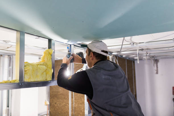Best Insulation Removal  in Hastings On Hudson, NY