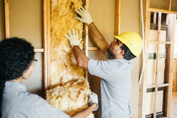 Best Attic Insulation Installation  in Hastings On Hudson, NY