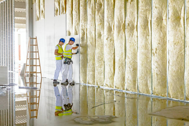 Best Fiberglass Insulation  in Hastings On Hudson, NY